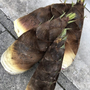 旬の筍（タケノコ）1kg