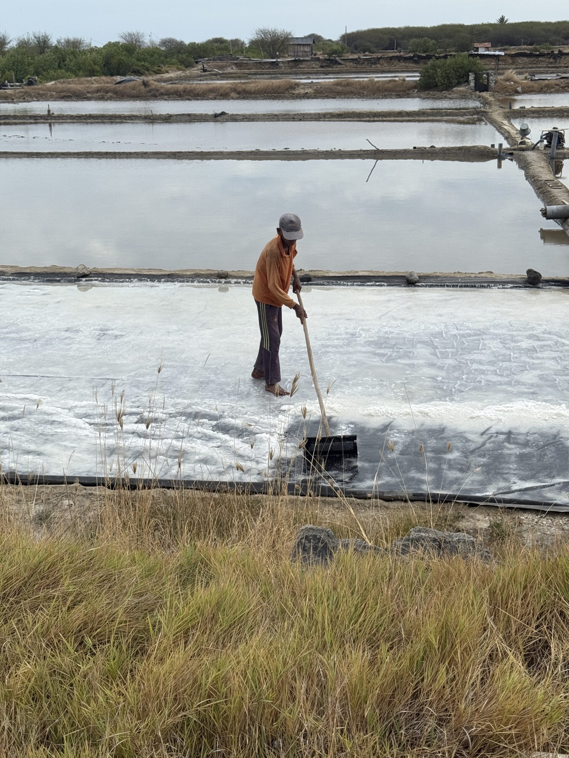 【雑貨】バリの聖地ムンジャンガンの奇跡。 太陽と風『のみ』で創られた、完全天日塩バスソルト - 画像 (4)